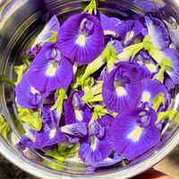 suara asli - Butterflypeaflowers💜