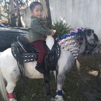elizabethandres937
