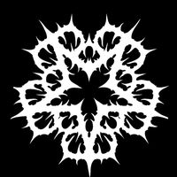 blackveilbrides