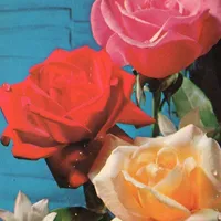 original sound - crybaby..cherub