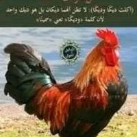 user9749926121396