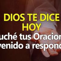 wilfredo.wilfredo