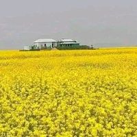 user3718169568505billal