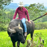 original sound - ganaderiamipadre