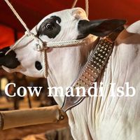 cowmandiisb