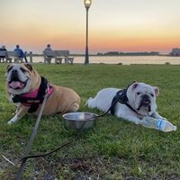 thewrinklesofrescue