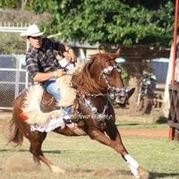 reinaldo.vargas.d
