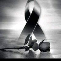 luis.heredia246