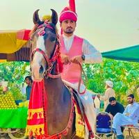 original sound - waheedranjha6