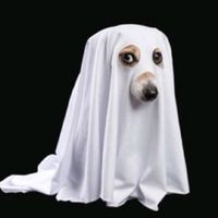 som original - cocoduro