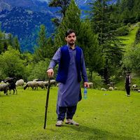 hikmat.agha.jan