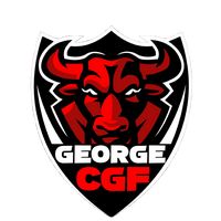 georgecgf