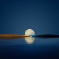 原聲 - 🐼🐼(收TK学员)