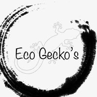 ecogeckos
