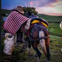 original sound - ꧁✞ঔৣ A̼P̼A̼C̼H̼E̼❤️‍🔥🐴👌