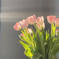 _chaa19_