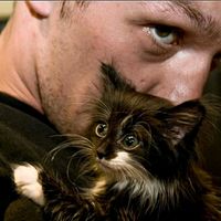 оригинальный звук