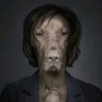 original sound - realmrperro