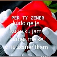 tingulli origjinal