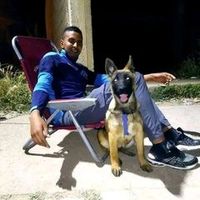 rabah.meliani