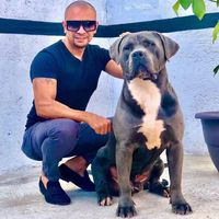 andrades_kennelofficial