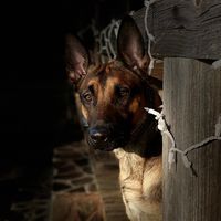 malicious.malcontent