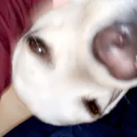 original sound - aeroadams