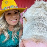 findingconnection_horse