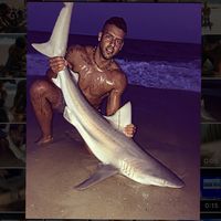lisharkman