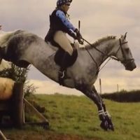the.british.eventer