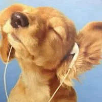 original sound - yslslimeyshoota21