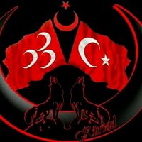orijinal ses