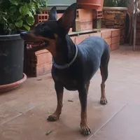 original sound - kirana_aventuras