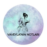 vaveylanin_notlari