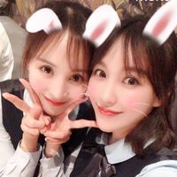 jiemeijipin