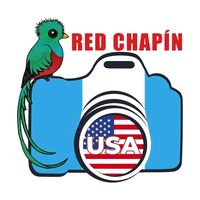 redchapinusa