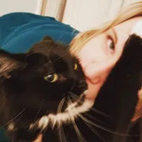 Is your cat kinda fat