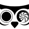photo_owl_from_youtube
