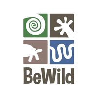 bewildreptilerescue
