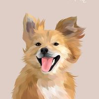 kohi_elzorrito