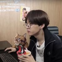 mybiasissuga