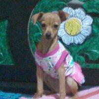 zuleyalmeida8880