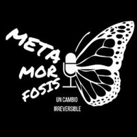 metamorfosisuci