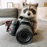 original sound - eimmud