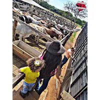 original sound - janatina02