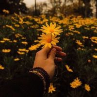 emmely.aesthetic15