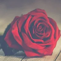 Sajan Ke Ghar Jana Hain