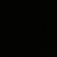 dog._.jumping._.collab