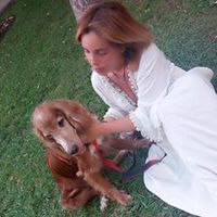 sofiacruchinho