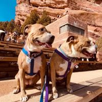 Did you get enough water oh